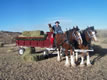 Holiday Hay Rides!!